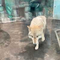 わかりやすい！大阪eco動物海洋専門学校　天王寺動物園