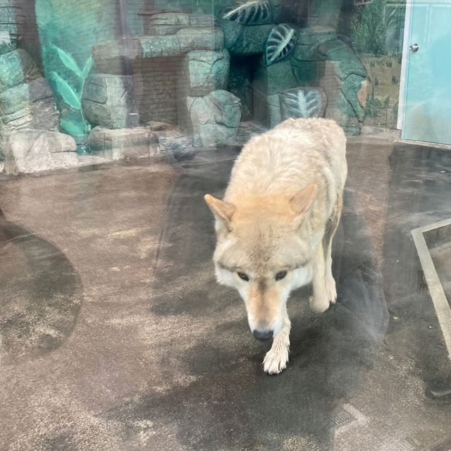 わかりやすい！大阪eco動物海洋専門学校　天王寺動物園