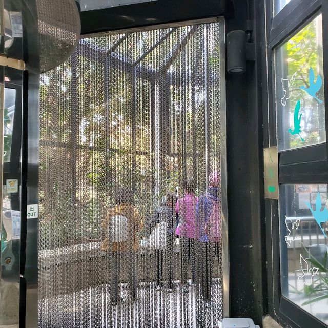 新年好去處之步步高陞。元朗公園百鳥塔