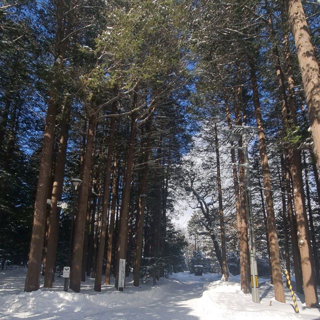 雪季節分祭北海道神宮