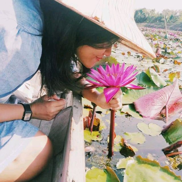🪷 ตลาดน้ำทุ่งบัวแดง บรรยากาศชิลๆ ชมดอกบัว 