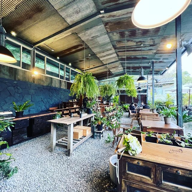 台北陽明山野人花園咖啡｜美 ！森林系咖啡廳