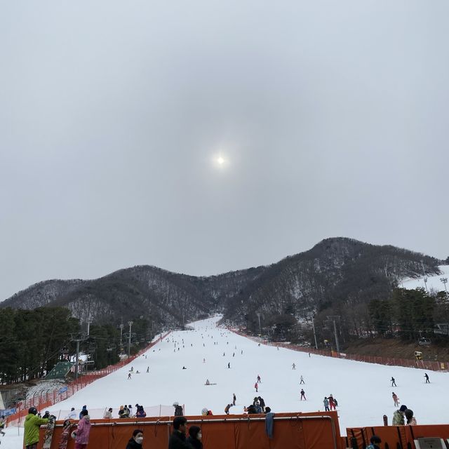 芝山滑雪場😍😍