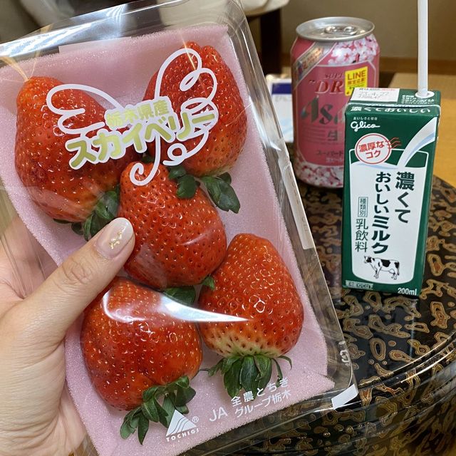 【 2023 日本東北 】那須高原 30分鐘草莓吃到飽 イチゴ