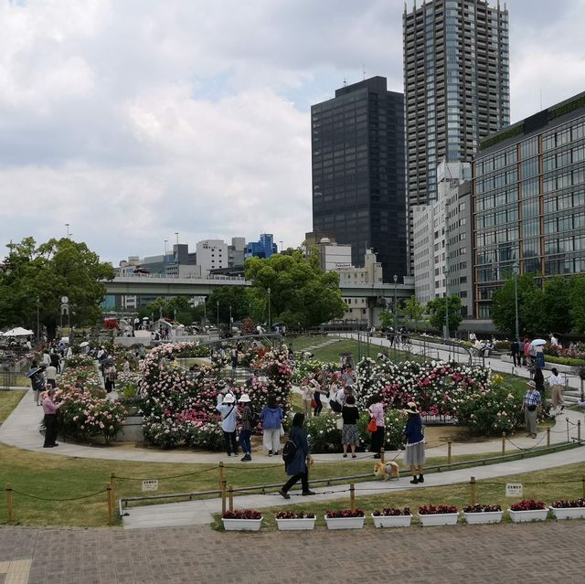 Nakanoshima Rose Garden