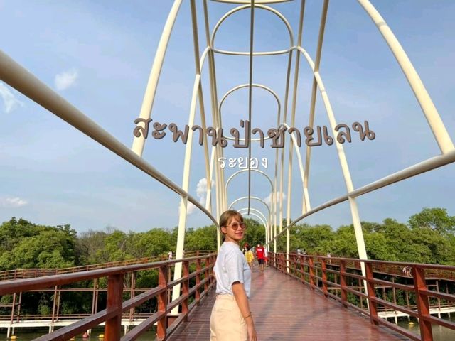 สะพานศึกษาธรรมชาติป่าชายเลน ระยอง🌳