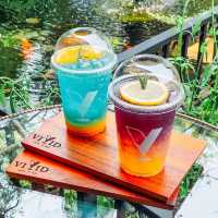 Vivid Cafe คาเฟ่สไตล์ธรรมชาติในเมืองศรีสะเกษ