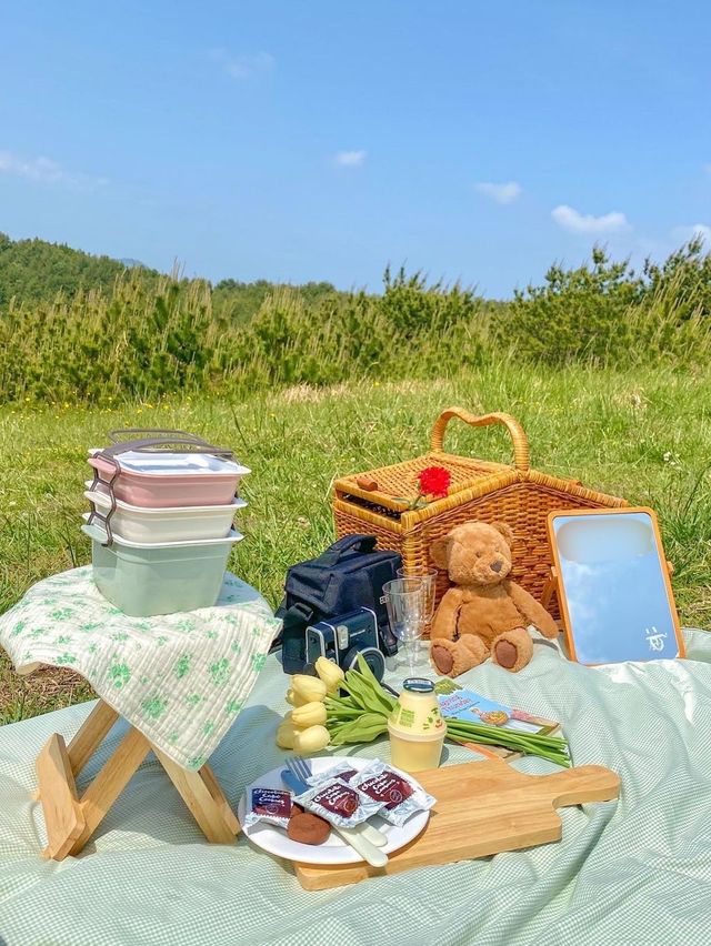 제주 동화 속 그 잡채 피크닉스팟🧺🌿