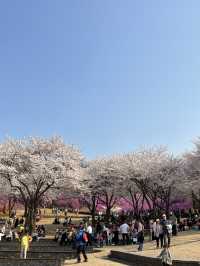 말그대로 꽃동산 그 자체💕