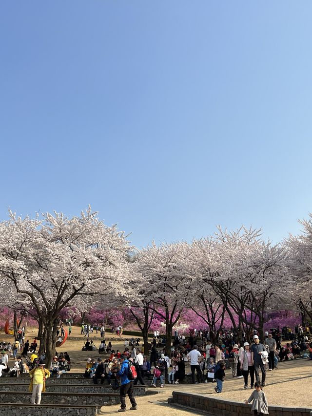 말그대로 꽃동산 그 자체💕