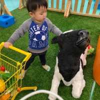 大熱新場🎪Chill Kids Club