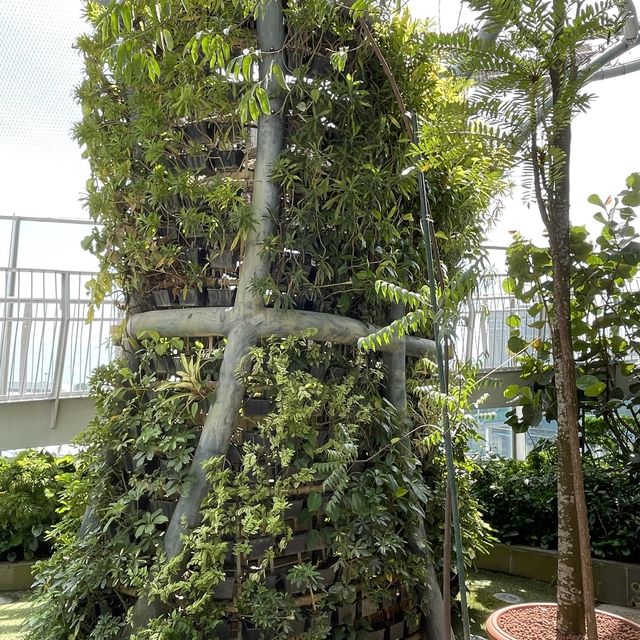 Discovery Garden @ Changi Airport T1 transit