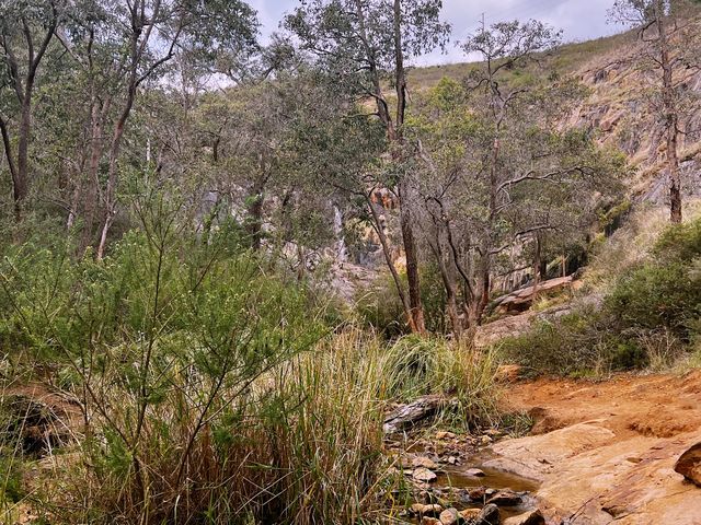 Skycrapers from afar!😎#minihikingLesmurdie🤓