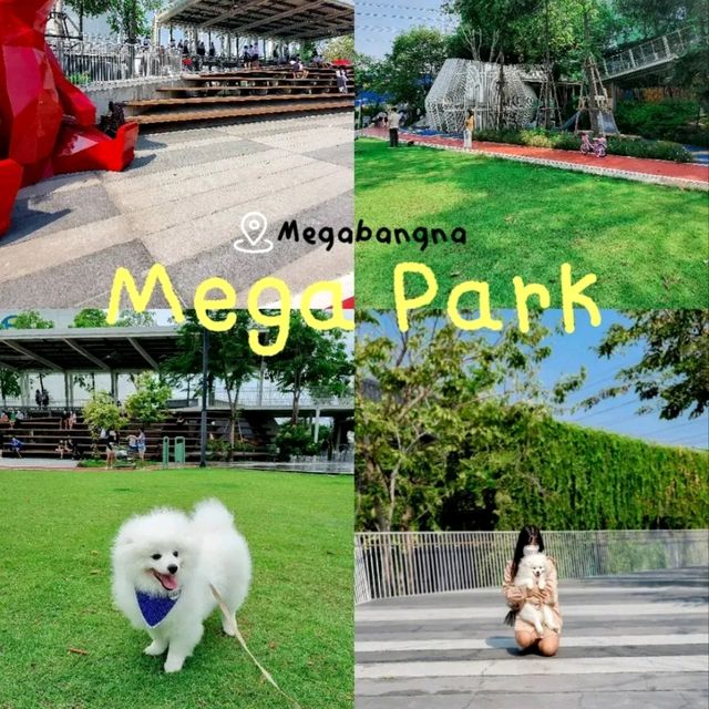 Mega Park สวนสาธารณะสำหรับคนรักน้องหมา | เข้าฟรี!