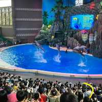 珠海長隆海洋王國之海洋動物