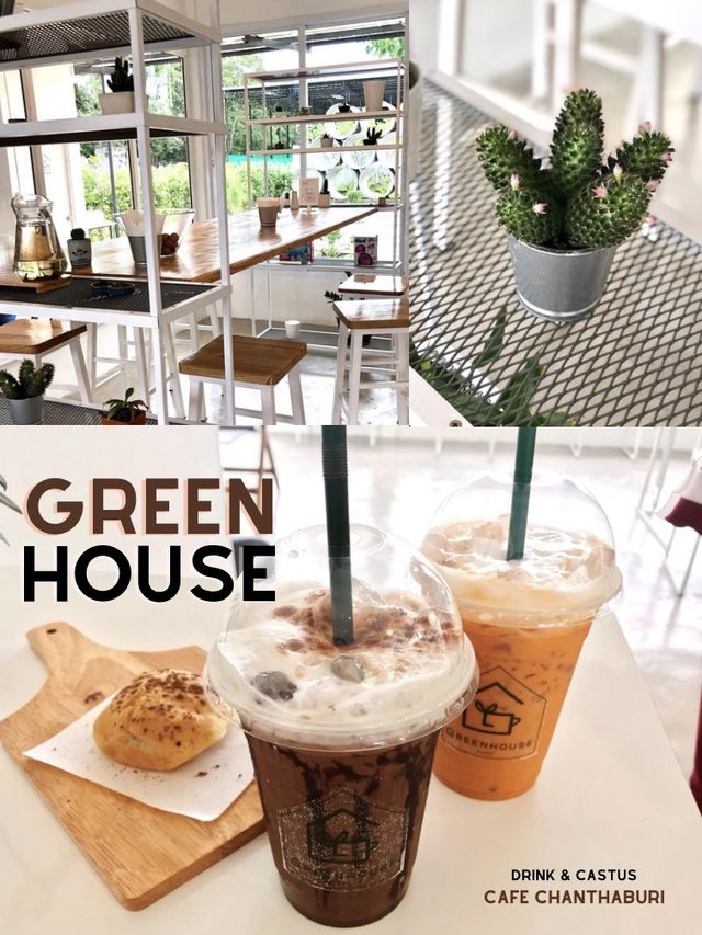 🧡Greenhouse Cafe🌵