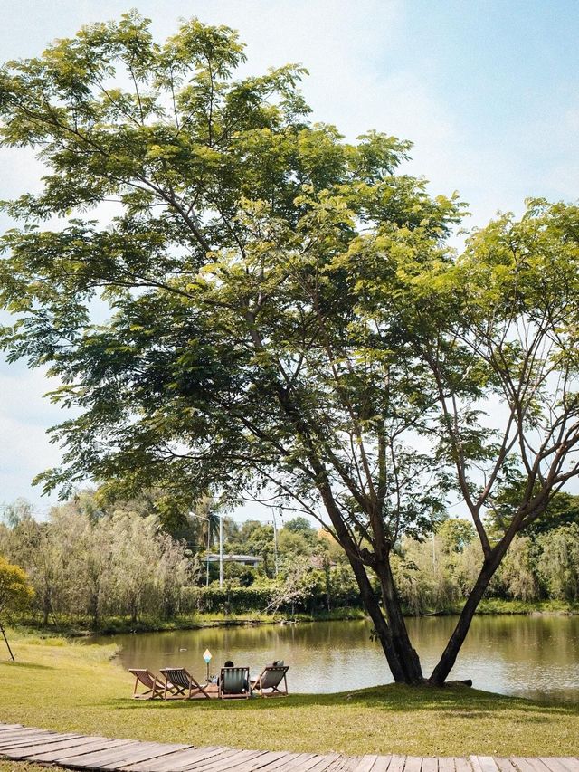 Mulberry Mellow คาเฟ่ในสวนที่เสมือนหลุดไปอีกโลก