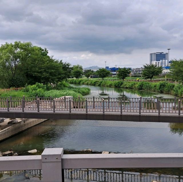 韓國景點😍義王鐵道自行車☺️40分鐘邊踩單車邊睇靚風景📸