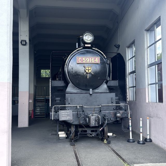 train loads of fun for the family 
