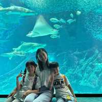 🐬🍨日本福岡 不能錯過的水族館餐廳😍