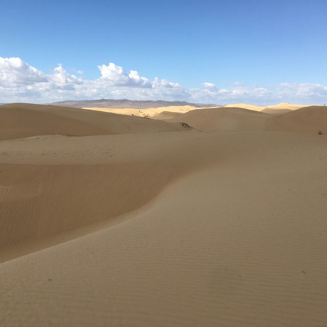 モンゴル🇲🇳セミゴビ砂漠　Högönö-Taranaiin-Hüree