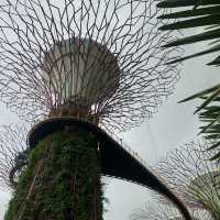 เที่ยวเมืองสิงคโปร์