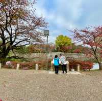 Hikone's Otemon: Gateway to History