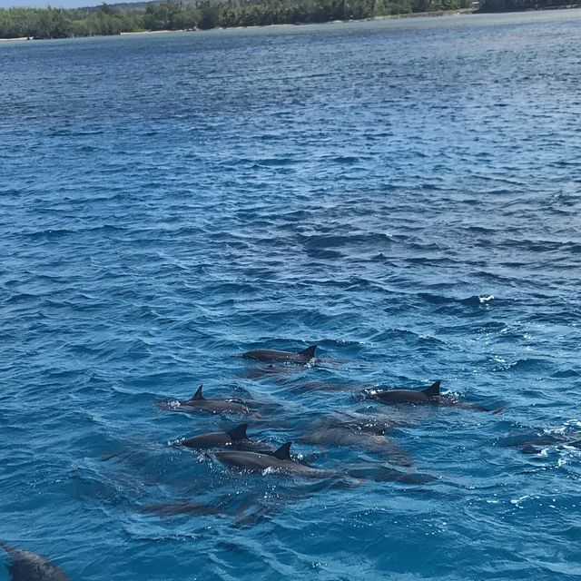 GUAM 낮이나 밤이나 아름다운 휴양지 🐬