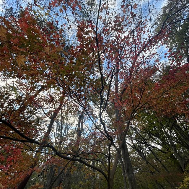 遊內藏山國家公園