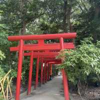福岡：柳川遊船，適合任何時間和場景
