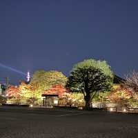 【京都】大人旅　秋の京都ココは外せない！