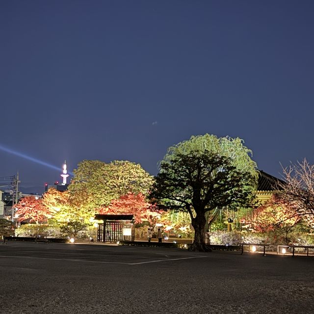 【京都】大人旅　秋の京都ココは外せない！