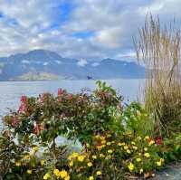 Blooms & Views: Montreux Elegance