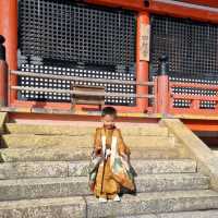 The Beautiful Kiyomizu Dera Temple 