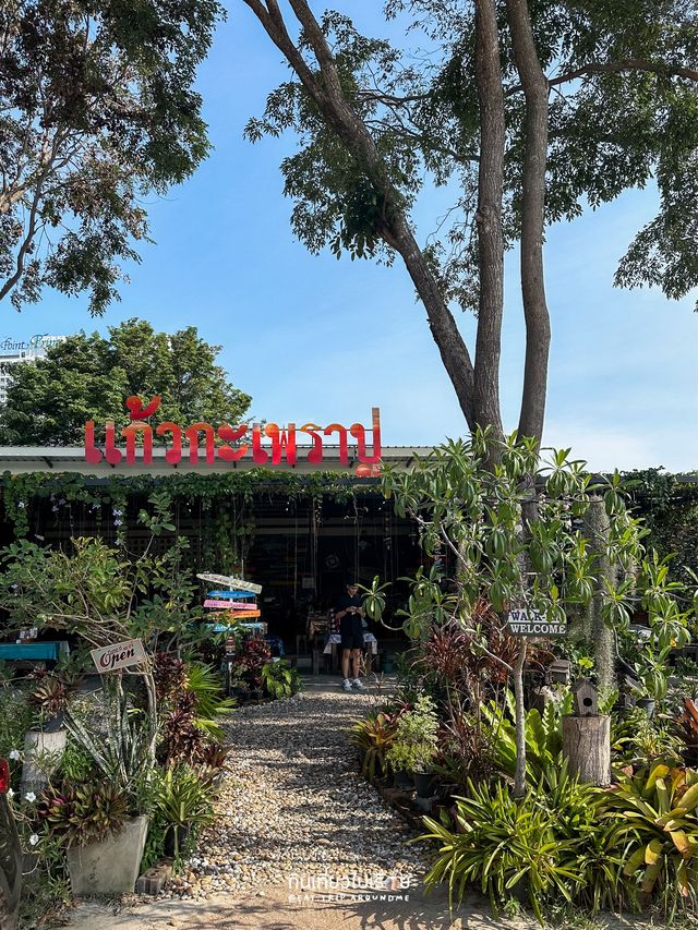 🍚🦞 ร้านกะเพรากั้งอร่อยๆ ที่พัทยา
