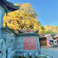 金燦燦的麗江古城