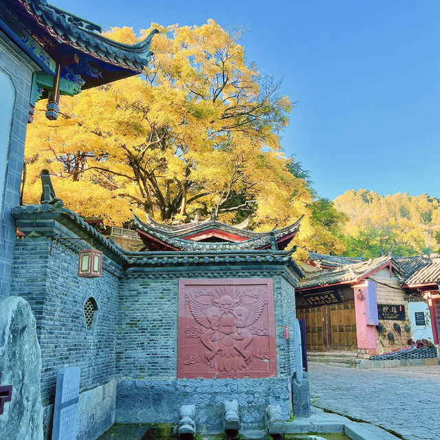 金燦燦的麗江古城