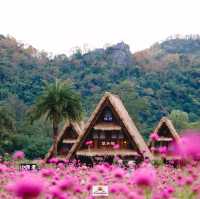 Hokkaido Flower Park Khaoyai