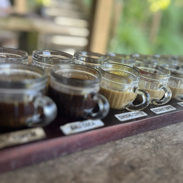 Luwak Coffee Plantation in Bali | Tampaksiring