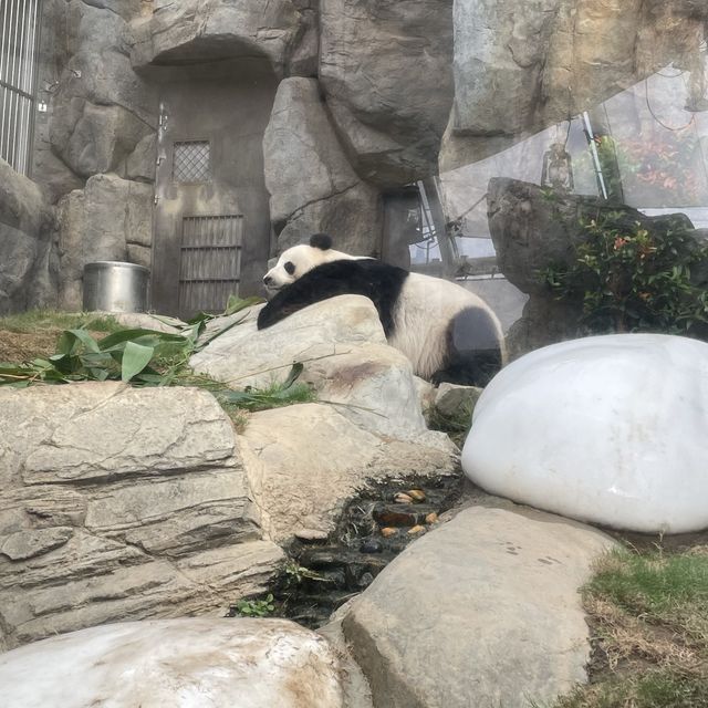 【香港】おすすめスポット🇭🇰