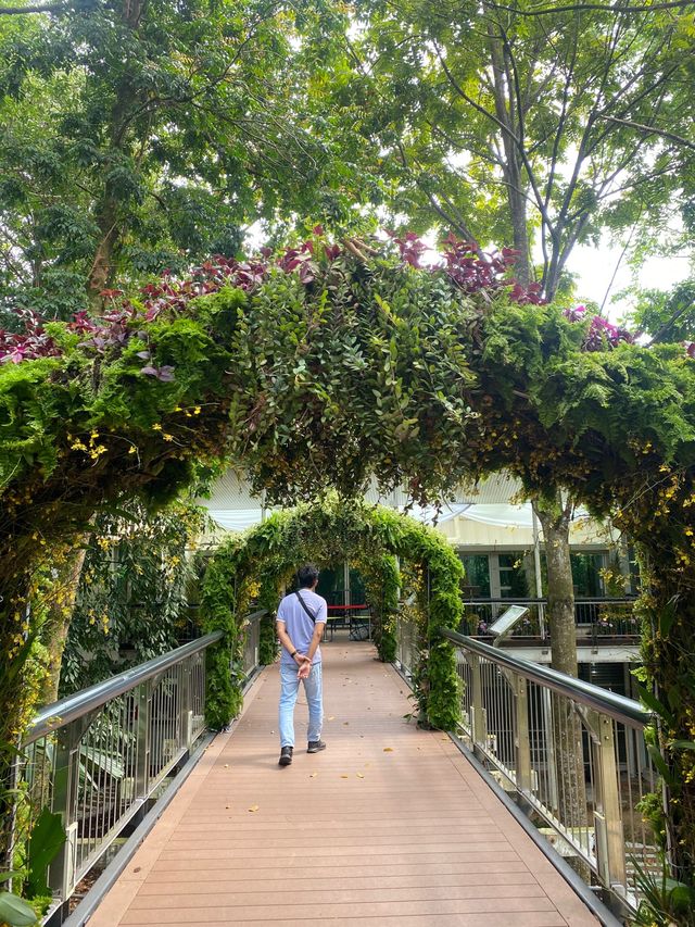 A stroll around the Taman Botani, Putrajaya 🌿