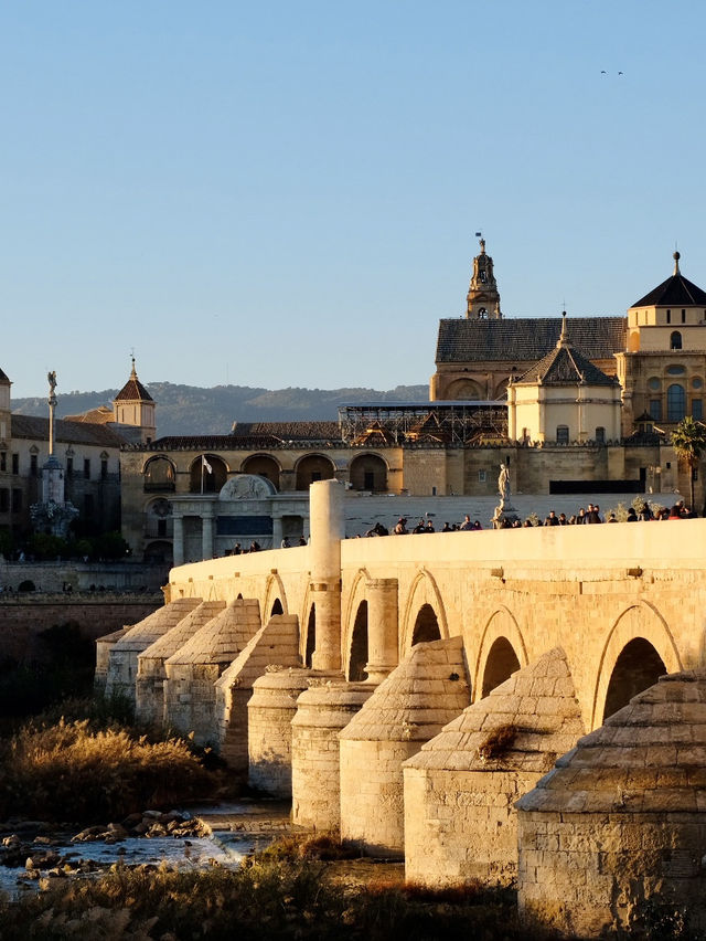 Andalusian Magic 🪄 