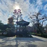 Gotokuji Temple