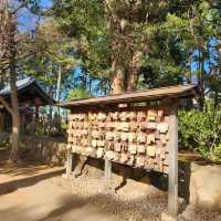 Gotokuji Temple