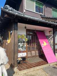 【糸島グルメ】季節ごとに変わる限定ランチ🐇
