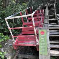 Blue Mountain National Park in Sydney