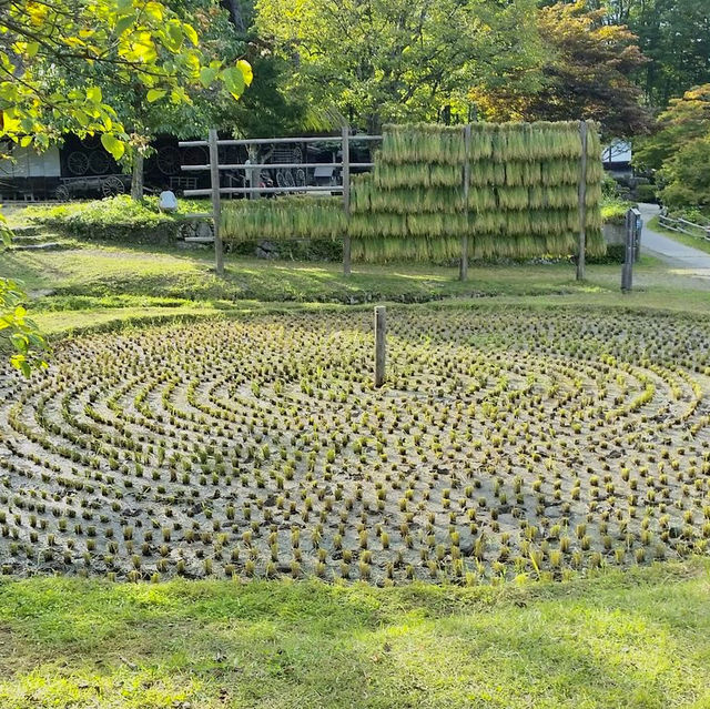 Hida Folk Village