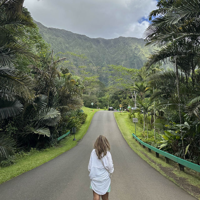 Aloha- Hawaiian Dreams 🌺