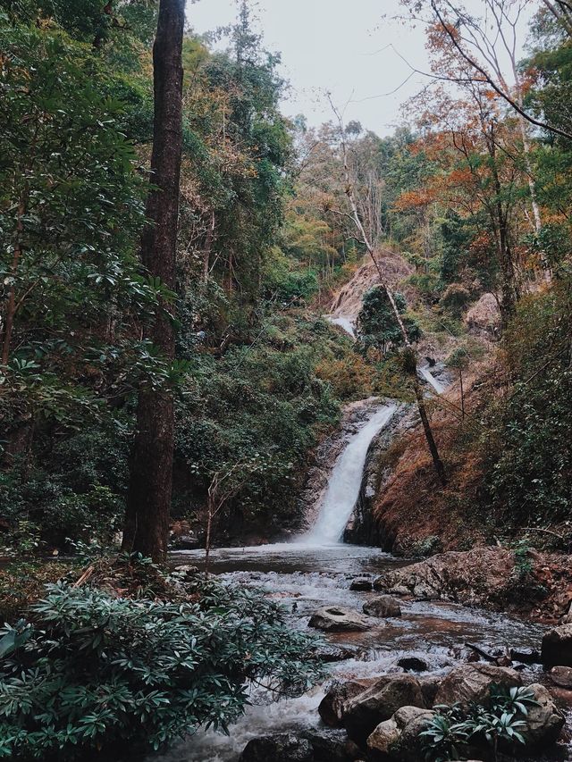 น้ำตกแจ้ซ้อน 💦⛰️🌳