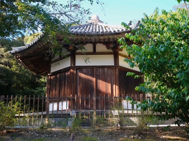 【五條（①吉野川と“横軸”の発展）】（奈良県五條市　旧国名：大和）